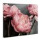 Stupell Industries Pink Peonies Trio Canvas Wall Art Design by Sisi and Seb